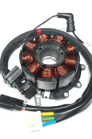 Statore magnete originale Piaggio MEDLEY 125 150 200 VESPA GTS 125 150 1A013291 Offerta Speciale