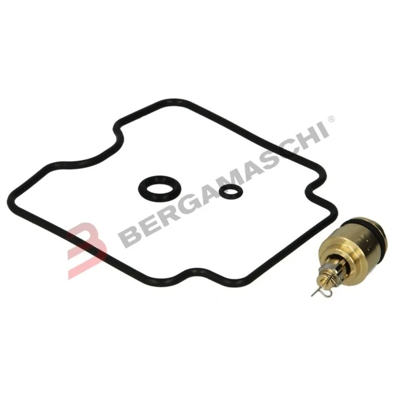 Revisione carburatore Yamaha FZS 600 / Fazer 1998-2003 TOUR MAX V839300360 Prezzo Di Fabbrica