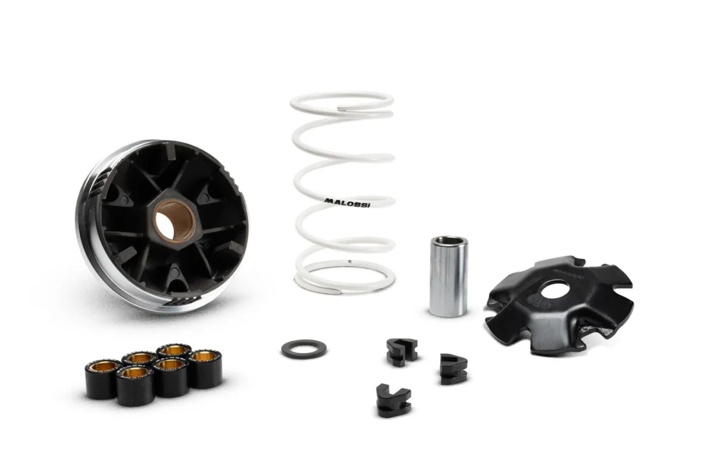 Variatore mulivar 2000 scooter 4t 50 SYMPHONY CROX TWEET KISBEE Malossi 5120225 Acquista Ora