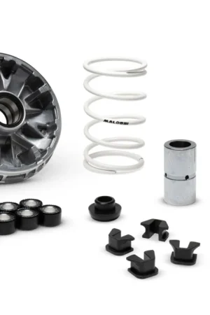 Vendita Finale Variatore Multivar Malossi Zontes 350E 350D 368E 368D 368G rulli cursori e molla