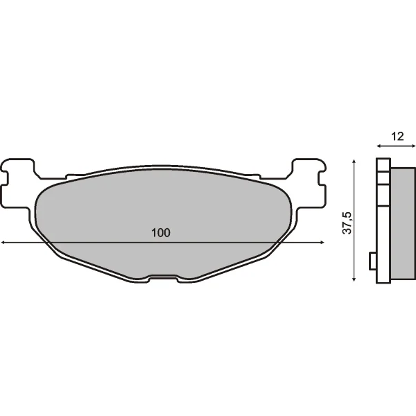Spedizione Espresso pastiglie freno posteriori organiche